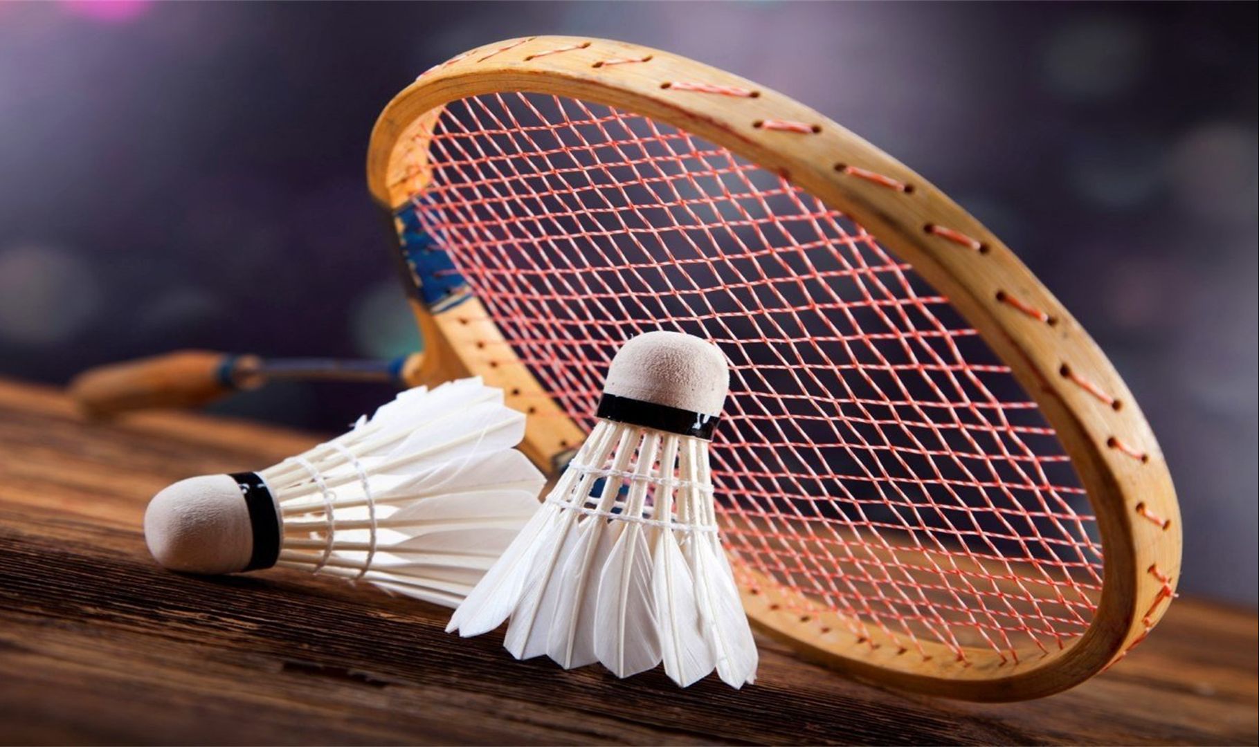 露头角的原 露头角的原